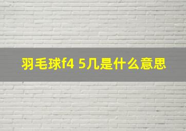 羽毛球f4 5几是什么意思